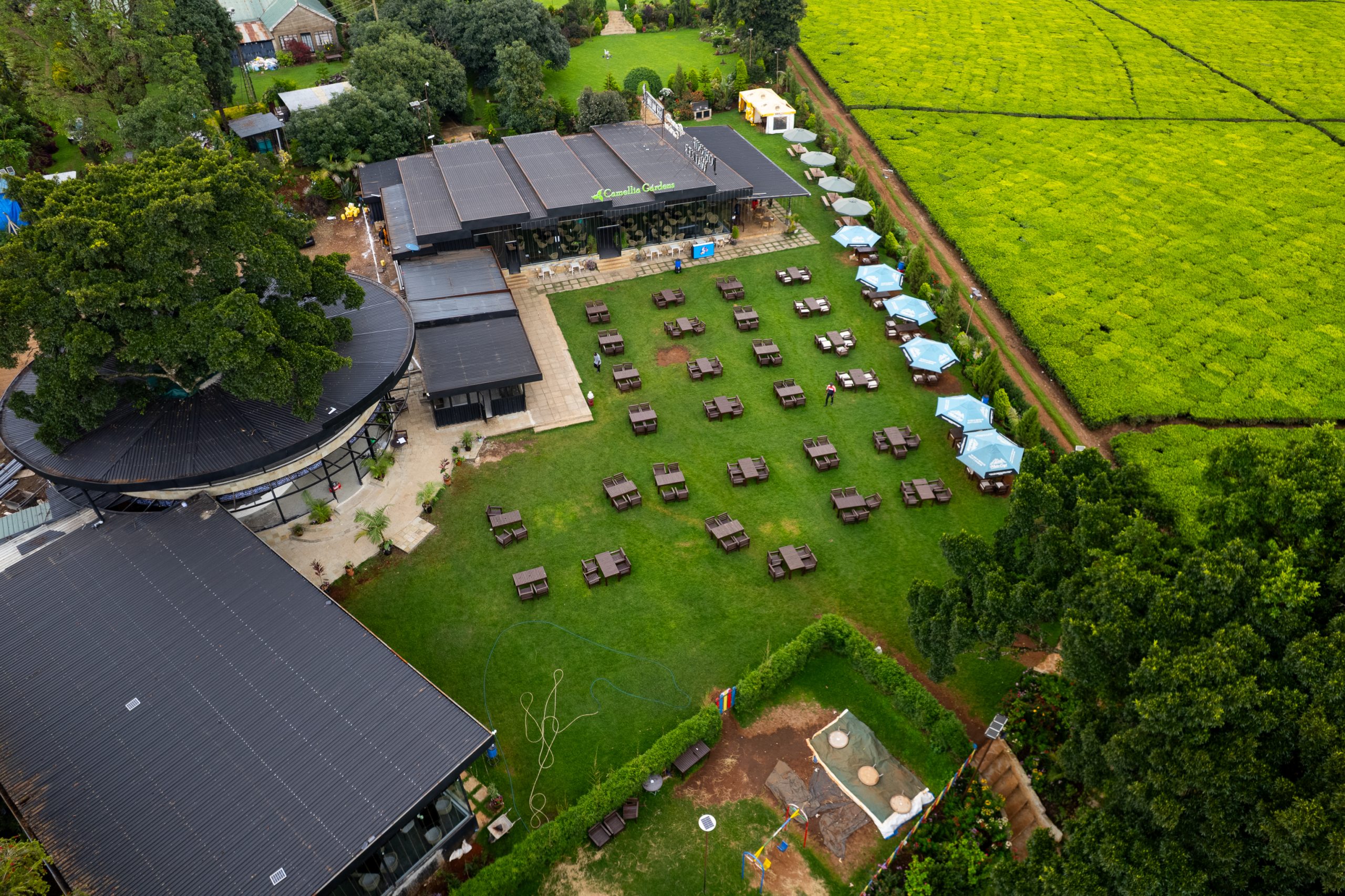 Ariel View Of Camellia 1